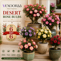 🌵🌺DESERT ROSE BULBS🔥Buy 6 Get 6 Free Bulbs🔥
