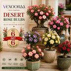 🌵🌺DESERT ROSE BULBS🔥Buy 6 Get 6 Free Bulbs🔥