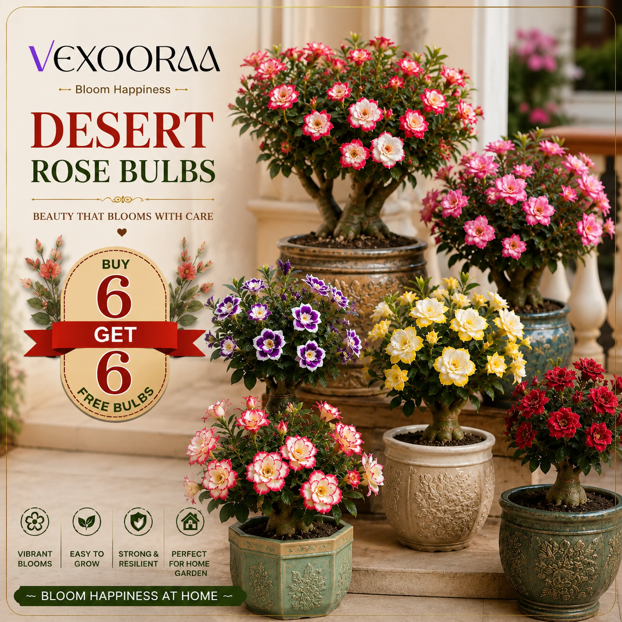 🌵🌺DESERT ROSE BULBS🔥Buy 6 Get 6 Free Bulbs🔥