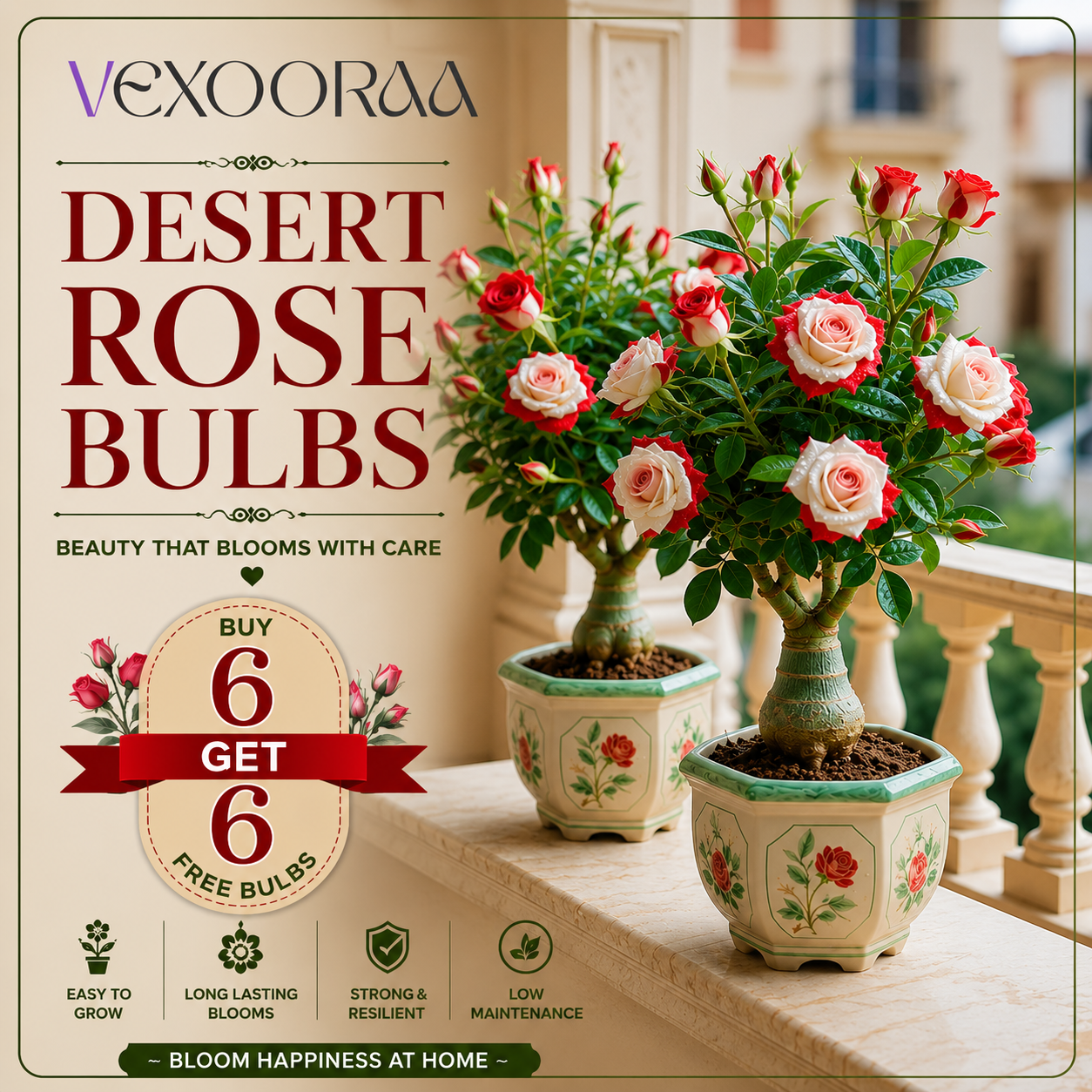 🌵🌺DESERT ROSE BULBS🔥Buy 6 Get 6 Free Bulbs🔥